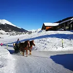 Grifla Apartament *