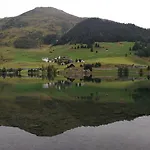 Grifla *
