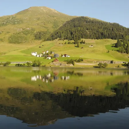 Grifla * Davos