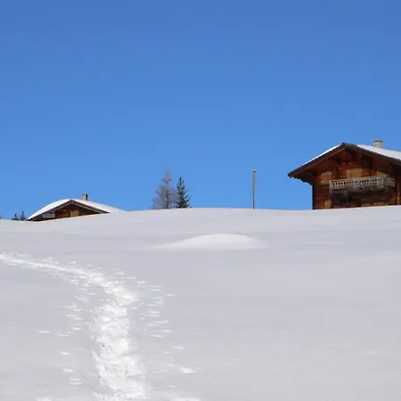 Grifla Apartament *