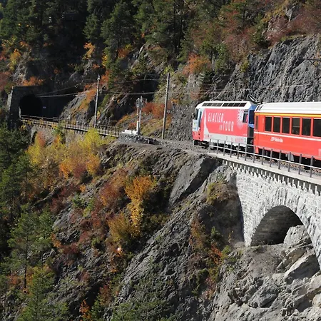 Grifla Davos