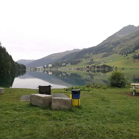 Grifla Davos