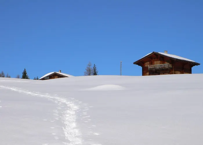 Grifla Apartamento *