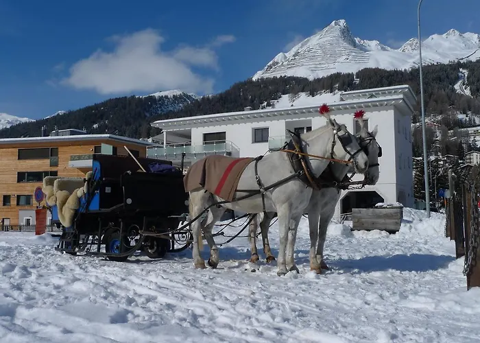 Apartamento Grifla *