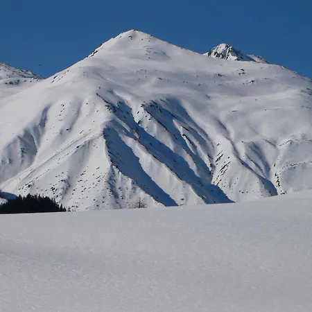 Апартаменты Grifla *