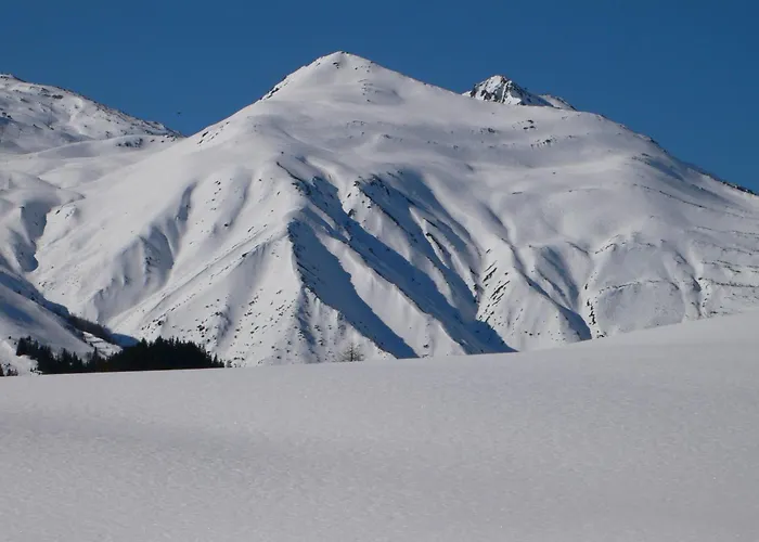 Апартаменты Grifla *